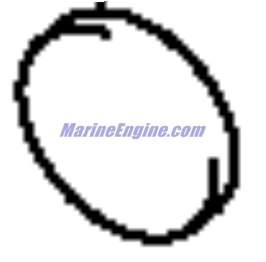 Evinrude Johnson OMC 5031348 - Shim, Tappet