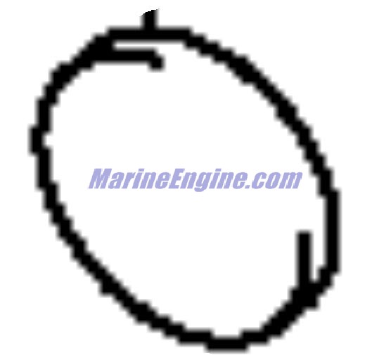Evinrude Johnson OMC 5031351 - Shim, Tappet