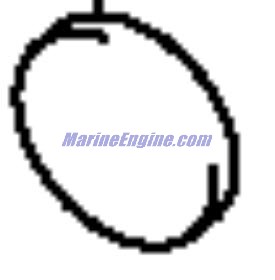 Evinrude Johnson OMC 5031616 - Shim, Tappet