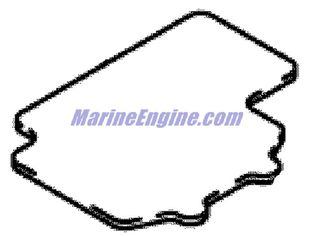Evinrude Johnson OMC 5031651 - Plate