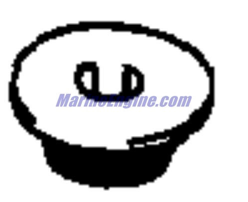 Evinrude Johnson OMC Evinrude Johnson OMC OMC5031678
5031678