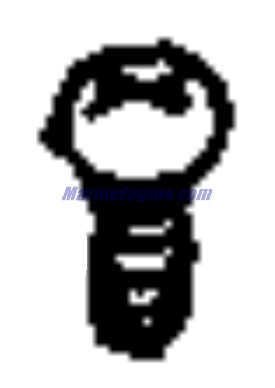 Evinrude Johnson OMC 5031685 - Screw