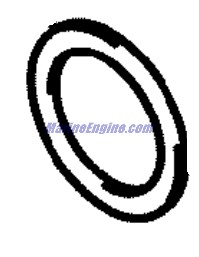 Evinrude Johnson OMC 5031841 - Washer