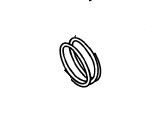 Evinrude Johnson OMC 5031910 - Spring