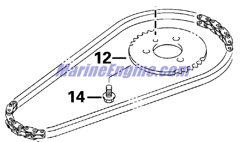 Evinrude Johnson OMC 5031945 - Timing Chain