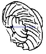 Evinrude Johnson OMC 5032100 - Reverse Gear 25/35