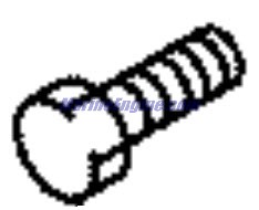 Evinrude Johnson OMC 5032177 - Bolt, 10X25