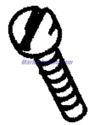 Evinrude Johnson OMC 5032388 - Screw