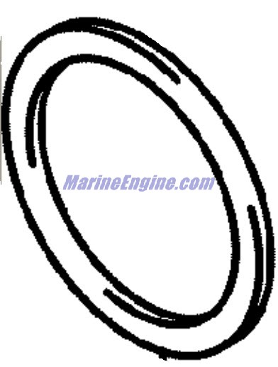Evinrude Johnson OMC 5032563 - Shim (.65MM)