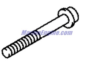Evinrude Johnson OMC 5032765 - Bolt, 8X65