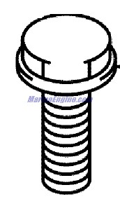 Evinrude Johnson OMC 5032818 - Bolt 16X40