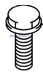 Evinrude Johnson OMC 5032818 - Bolt