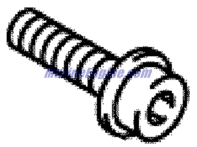 Evinrude Johnson OMC 5032922 - Bolt