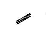 Evinrude Johnson OMC 5033034 - Return Spring