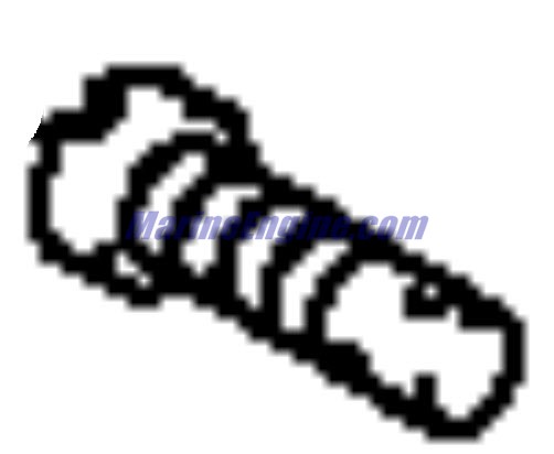 Evinrude Johnson OMC 5033232 - Jet, Pilot, 60