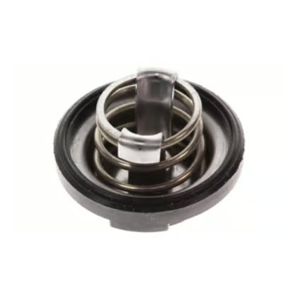 Evinrude Johnson OMC 5033720 - Valve Comp