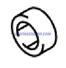 Evinrude Johnson OMC Evinrude Johnson OMC OMC5033842
5033842