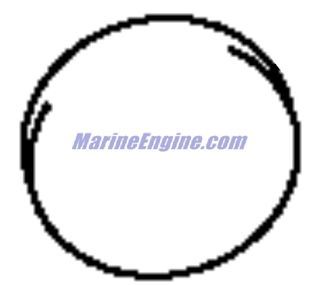 Evinrude Johnson OMC 5033894 - Shim, Tappet