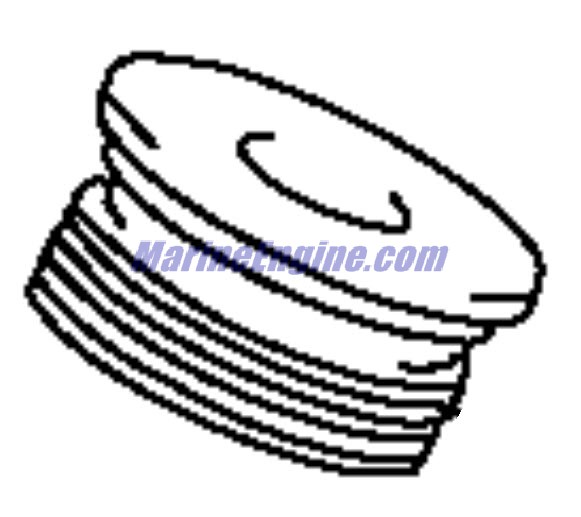Evinrude Johnson OMC 5033935 - Trim Cylinder Head