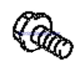 Evinrude Johnson OMC 5033938 - Bolt, Reservoir