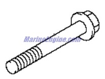 Evinrude Johnson OMC 5034180 - Bolt Set, Cylinder Head