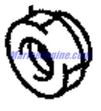 Evinrude Johnson OMC 5034292 - Nut
