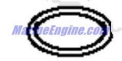 Evinrude Johnson OMC Evinrude Johnson OMC OMC5034332
5034332