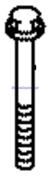 Evinrude Johnson OMC 5034782 - Bolt (L115)