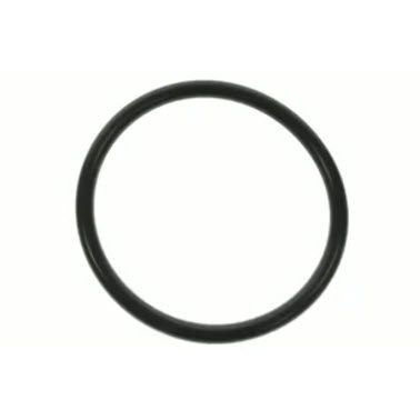 Evinrude Johnson OMC 5034831 - O-Ring, Holder