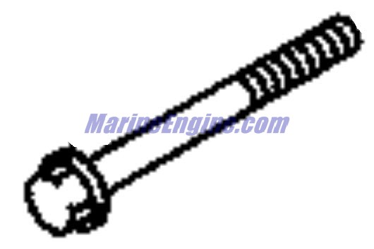 Evinrude Johnson OMC Evinrude Johnson OMC OMC5034852
5034852