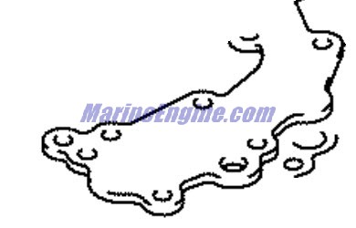 Evinrude Johnson OMC 5035021 - Oil Gallery Plate