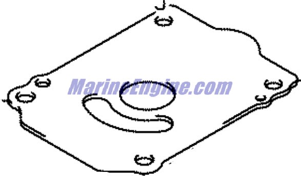 Evinrude Johnson OMC 5035041 - Panel, Pump Case