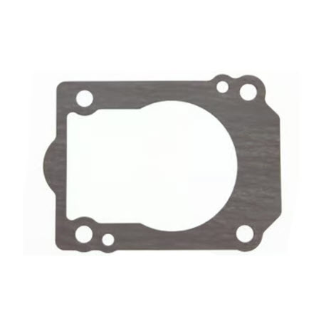 Evinrude Johnson OMC 5035042 - Gasket, Pmp Cs Panel
