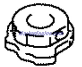 Evinrude Johnson OMC 5035066 - Clutch Plate Comp