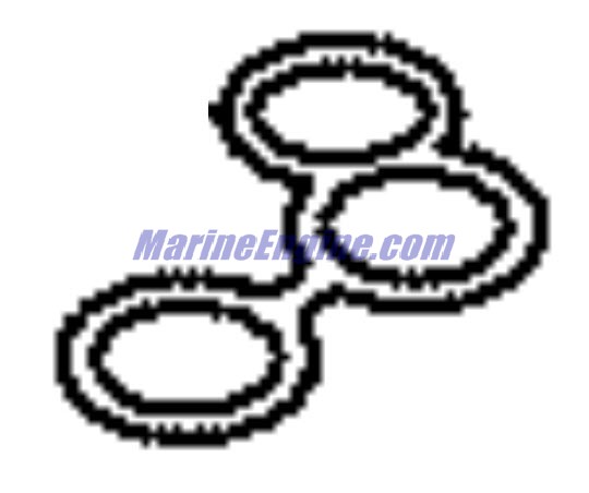 Evinrude Johnson OMC 5035131 - Seal, Water Return