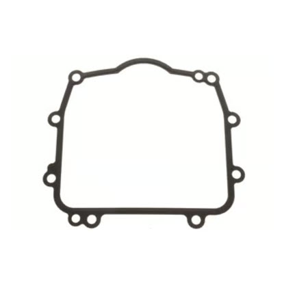Evinrude Johnson OMC 5035133 - Gasket, Mount