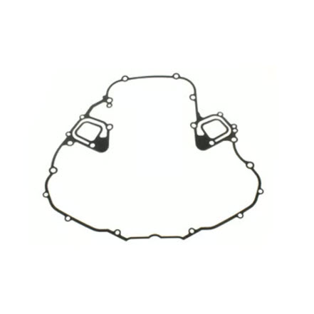 Evinrude Johnson OMC 5035138 - Gasket