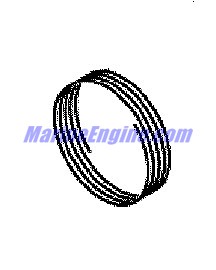 Evinrude Johnson OMC 5035366 - Spring