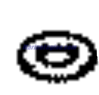 Evinrude Johnson OMC 5035602 - Washer
