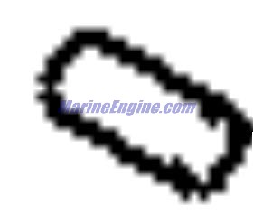 Evinrude Johnson OMC 5035725 - Check Valve