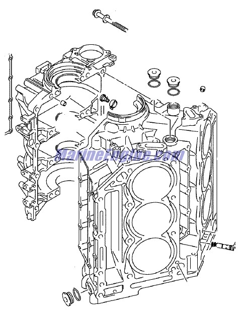 Evinrude Johnson OMC 5035941 - Cylinder Block Set