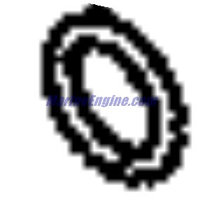 Evinrude Johnson OMC 5035954 - O-Ring