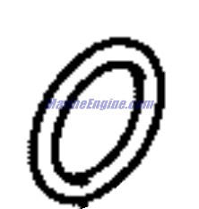 Evinrude Johnson OMC 5036520 - O-Ring