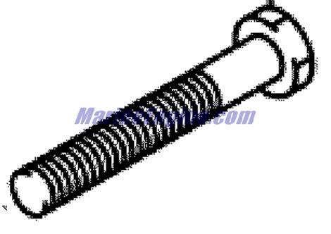 Evinrude Johnson OMC 5036556 - Bolt 12X150