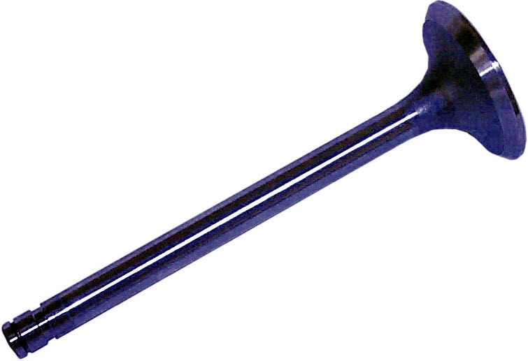 Sierra Marine 18-4467 - Intake Valve, 1542472