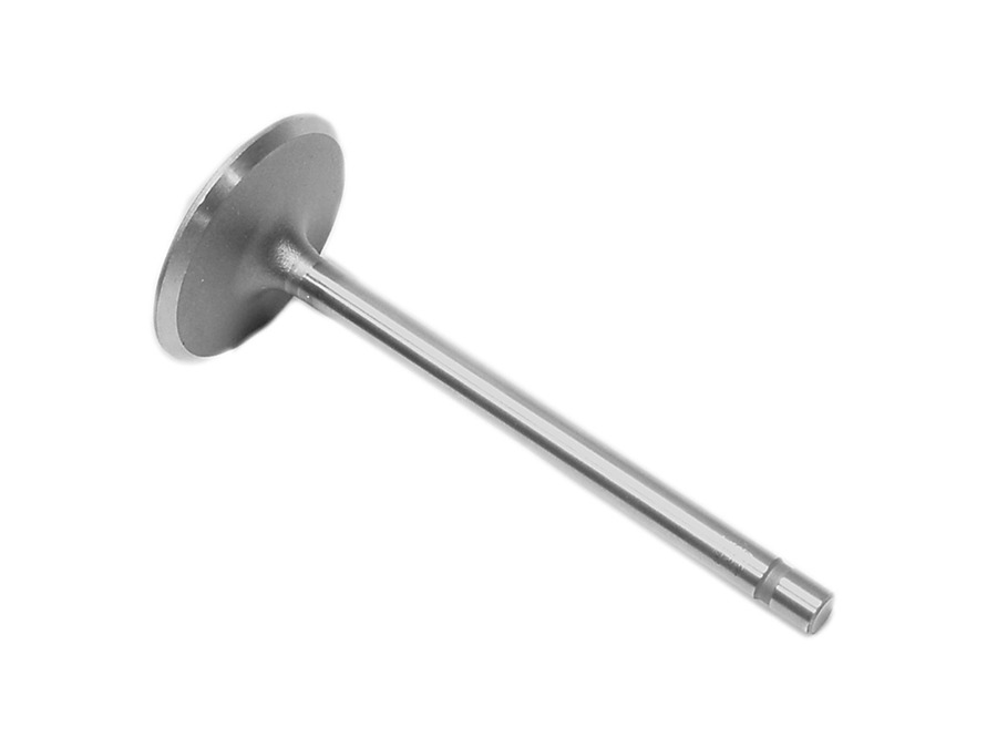 Mercury Quicksilver 841423 - Intake Valve