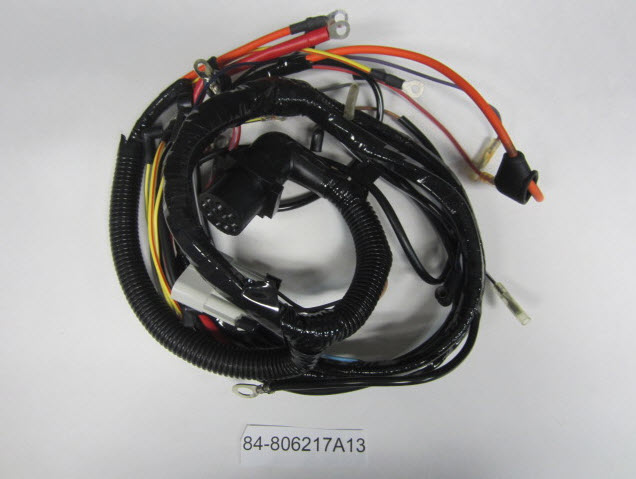 Mercury Quicksilver 84-806217A13 - Harness Assembly, NLA