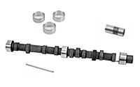 Camshaft bearings, lifters & pushrods