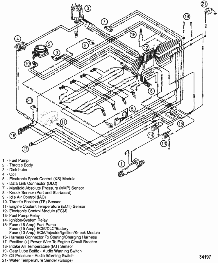 MerCruiser 7.4L MPI MIE (L29) Gen. VI GM 454 V-8 1998-2000 Wiring