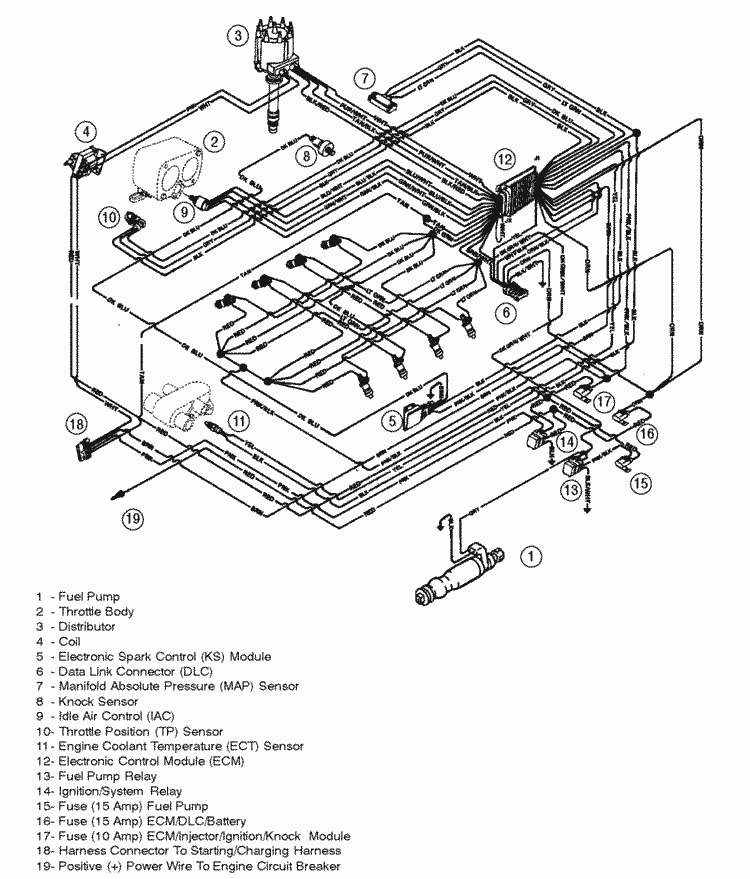 MerCruiser 8.2L MIE MPI (LH) Gen. VI GM 502 V-8 1996-1997 Wiring